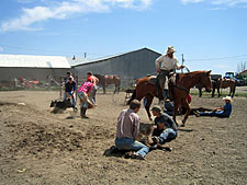 USA-Wyoming-New Haven Ranch